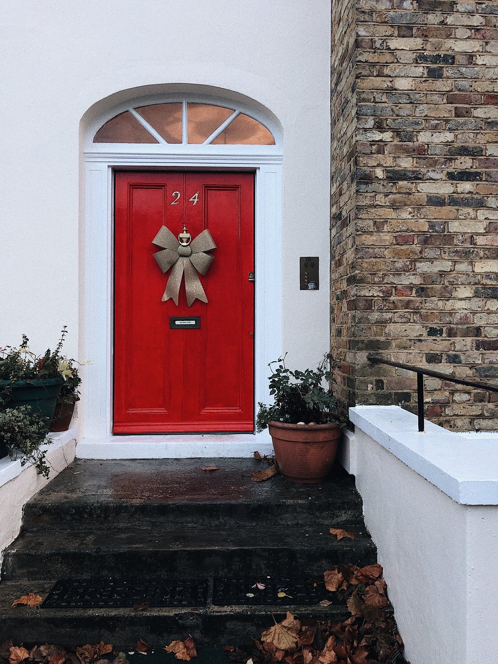 potted plant near red wooden door